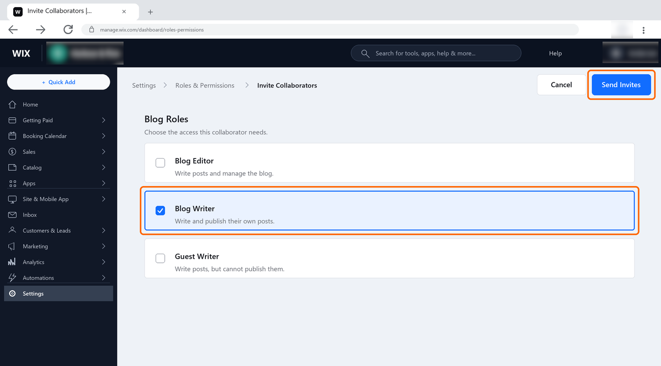 The Blog Roles section with Blog Writer ticked